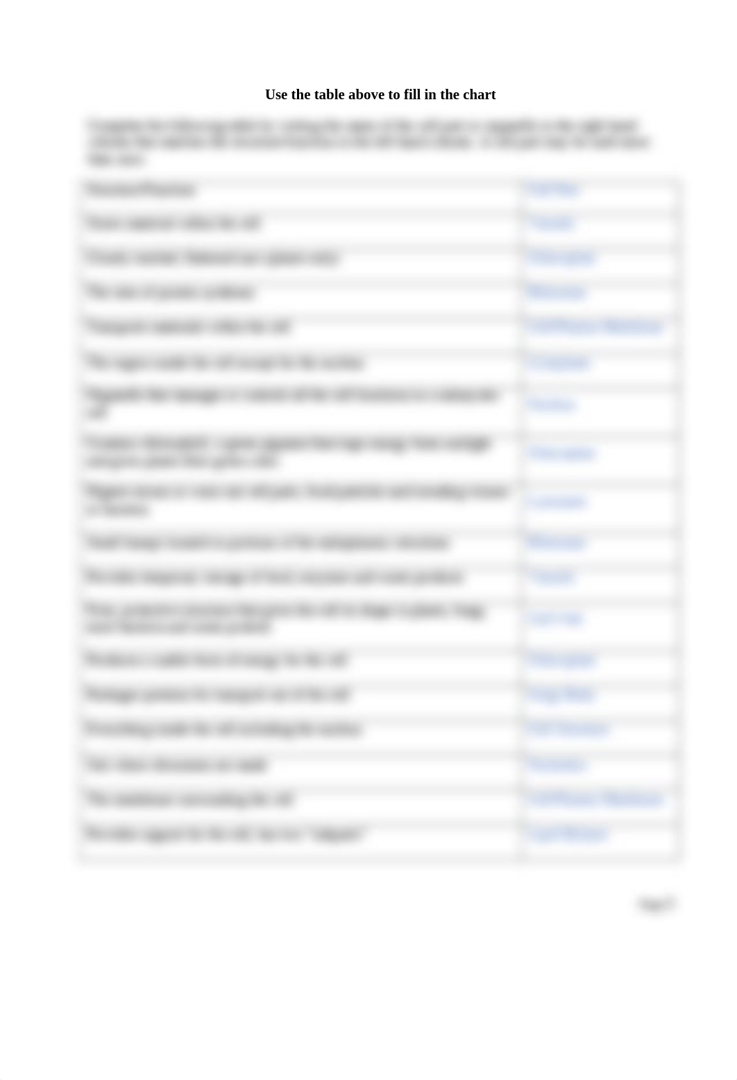 Cell and organelles worksheet.doc_dtifvknt969_page3