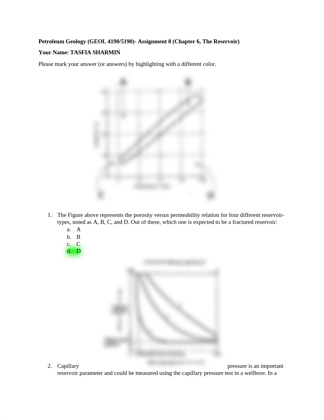 GEOL_4190_Assignment8.docx_dtinwxlbvfg_page1