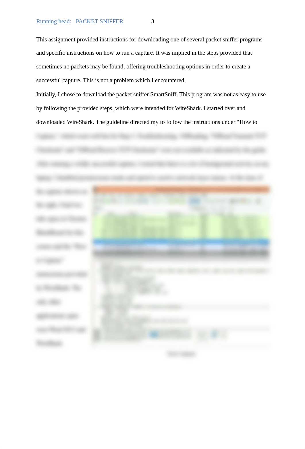 Packet Sniffer CIS219 Elisha Stratford_dtipbi6ncnm_page3