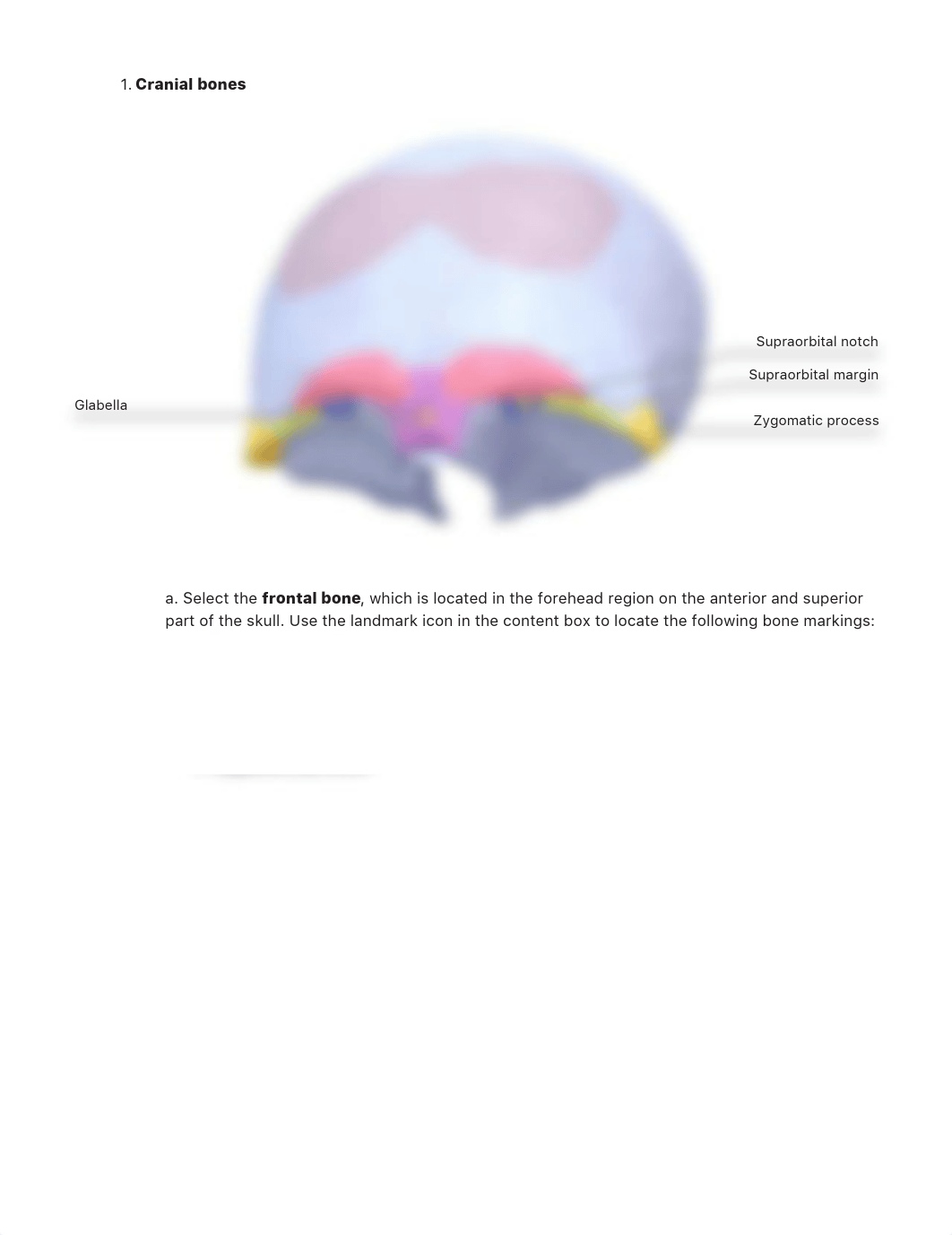 Axial Appendicular Skeleton Reference.pdf_dtiqo0a99ru_page3