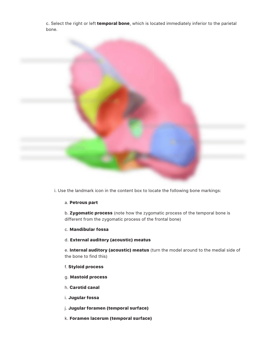 Axial Appendicular Skeleton Reference.pdf_dtiqo0a99ru_page5