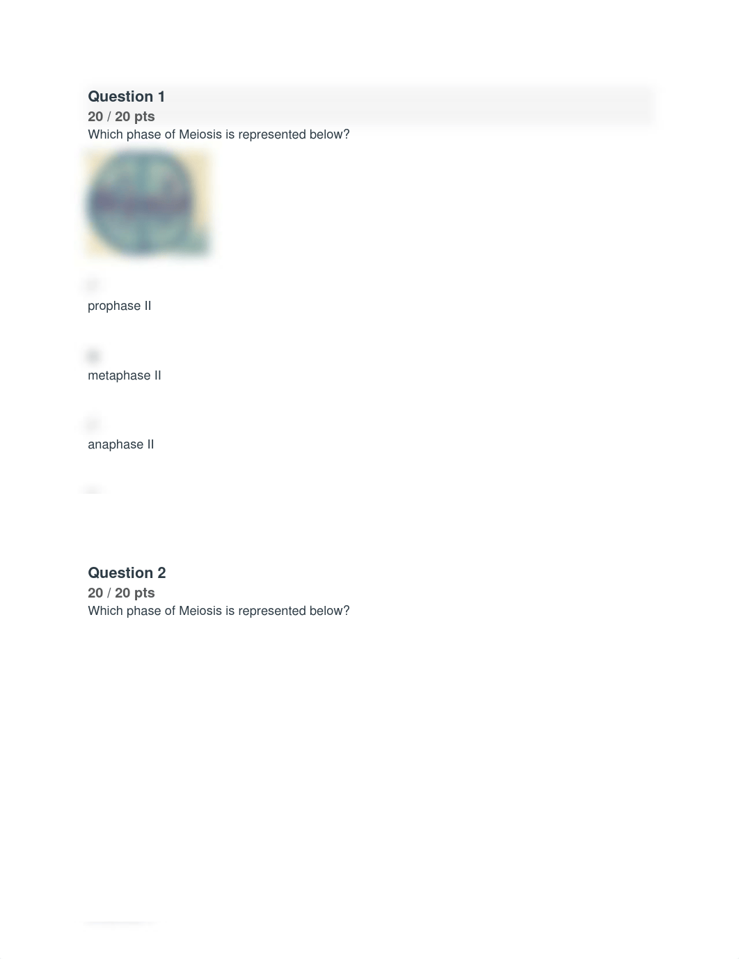 Biology 1 Lab 10 Meiosis Quiz_dtit1ofxm62_page1