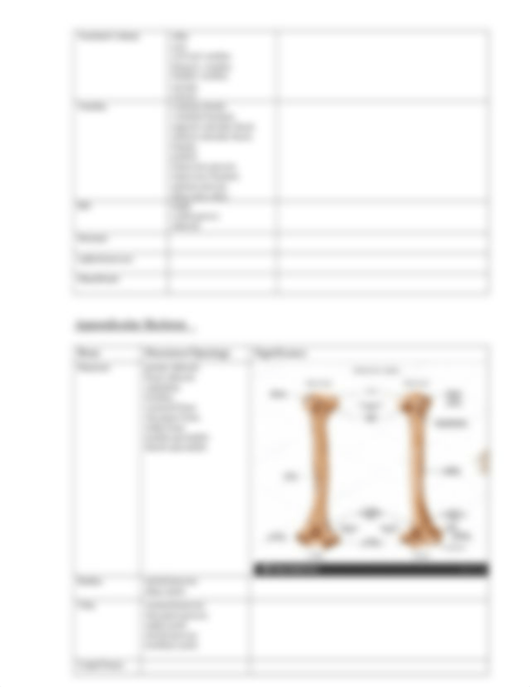 Practical Exam 2 (1).doc_dtivjwdupvl_page2