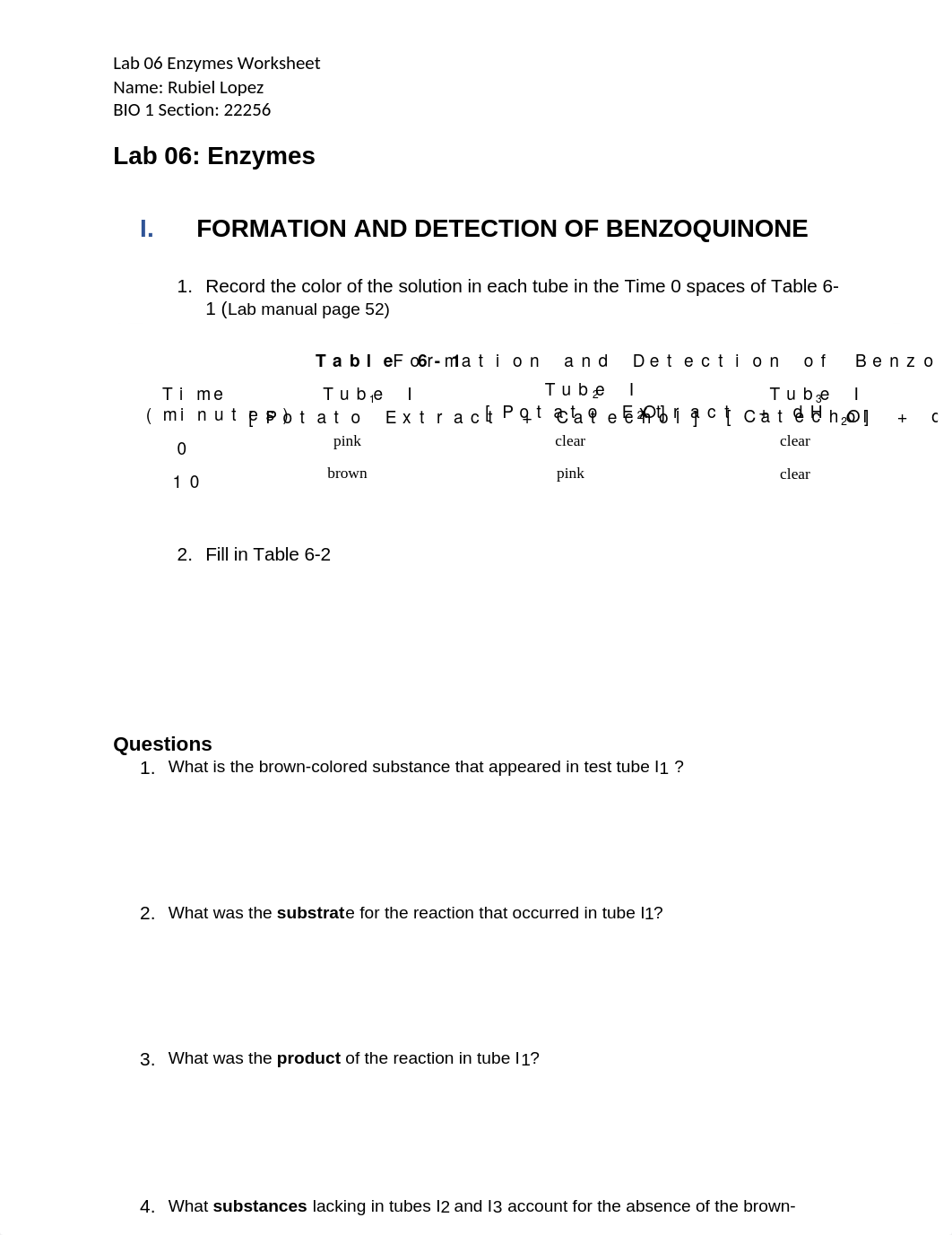 lab 6.docx_dtiy9732eg3_page1