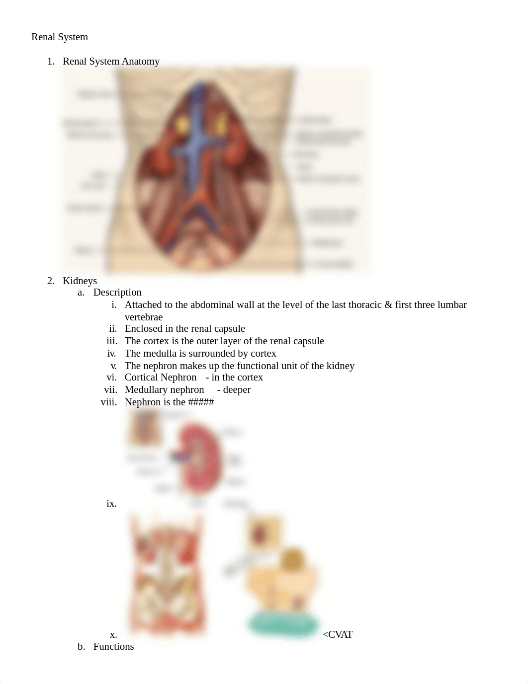 Exam 4 outline_dtizkq04ba6_page1