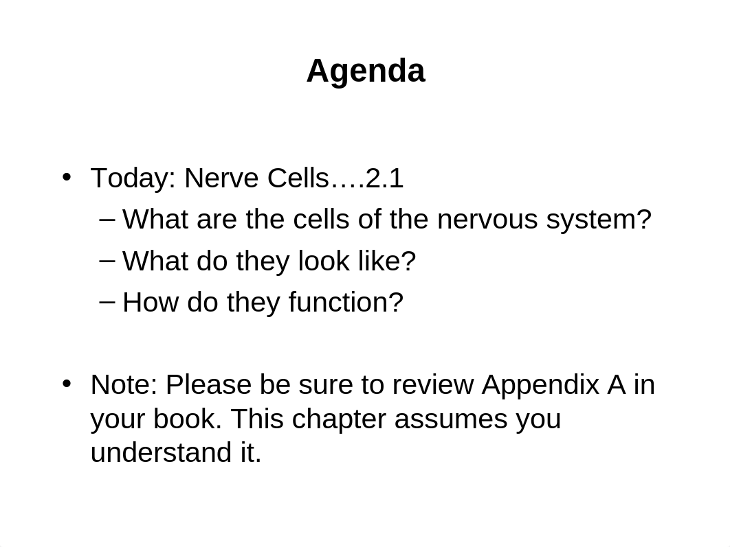 Chapter 2 PowerPoint: Nerve Cells and Nerve Impulses_dtj0oqkf1bj_page2