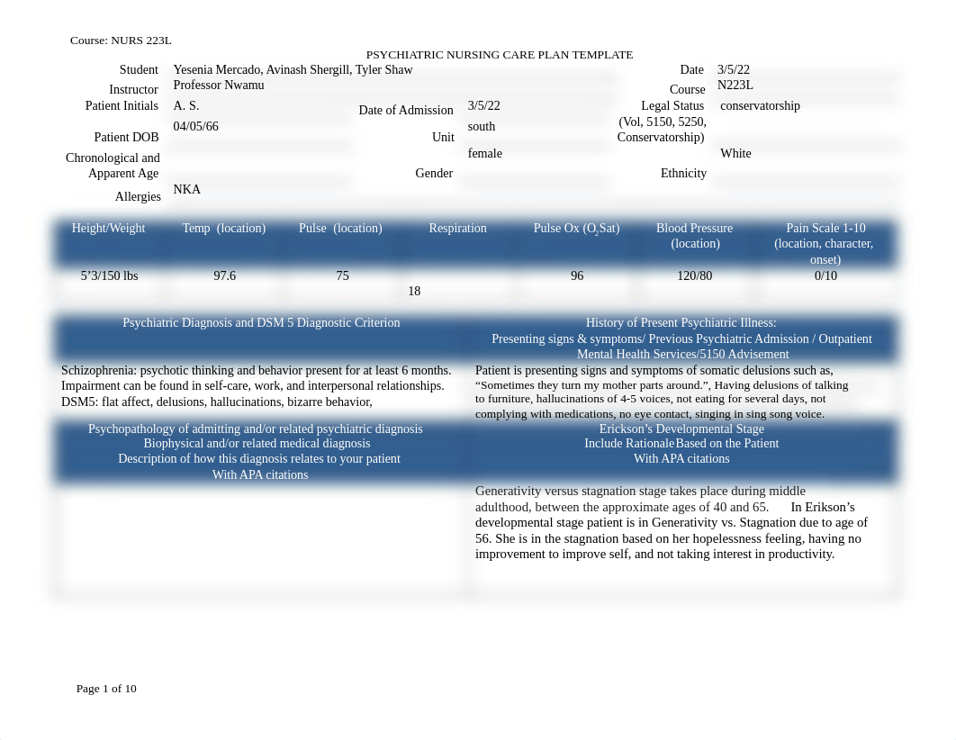 NURS 223L - Psychiatric Nursing Care Plan Template.docx_dtj2wgnoxa9_page1