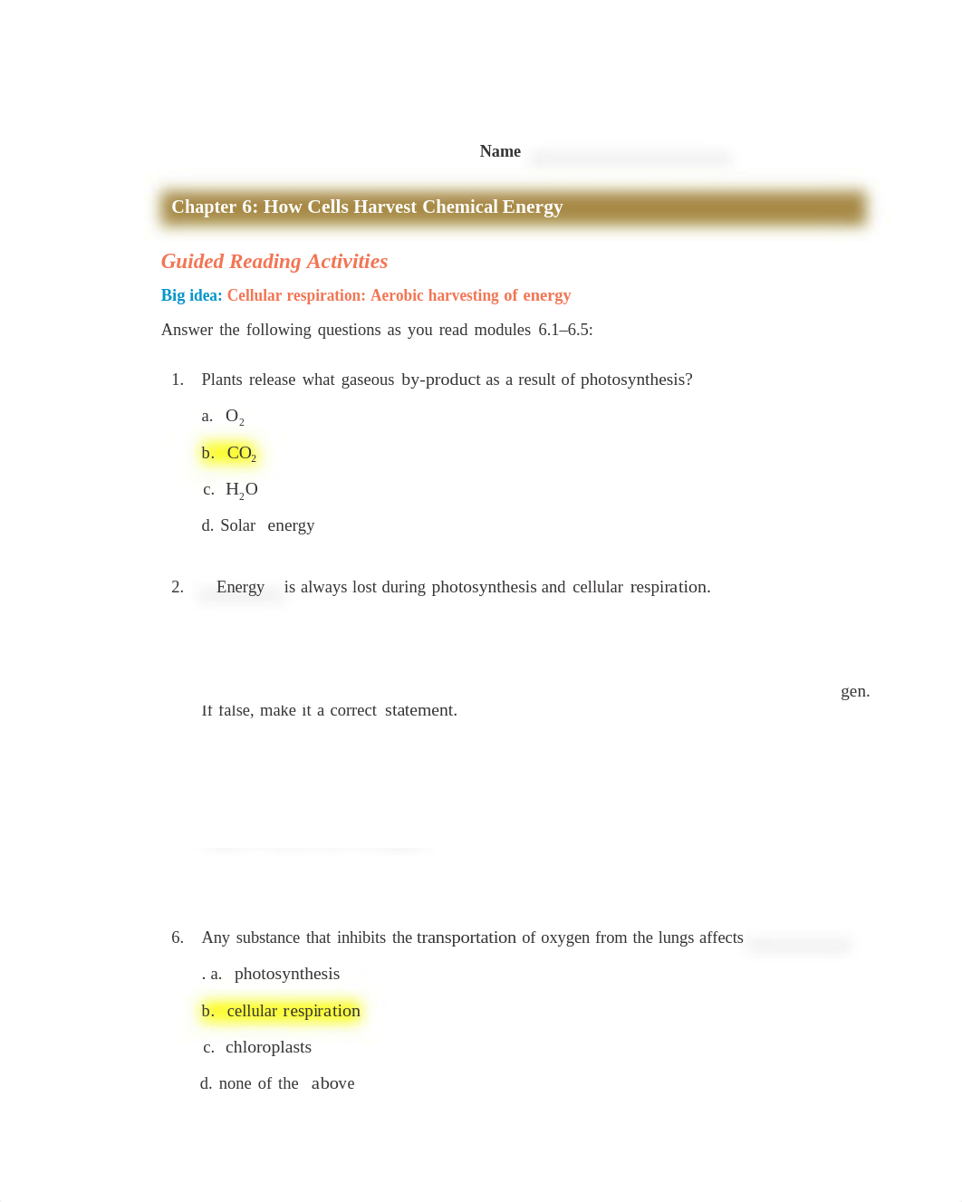 06_guided_reading_activity.docx_dtj3zp0e933_page1