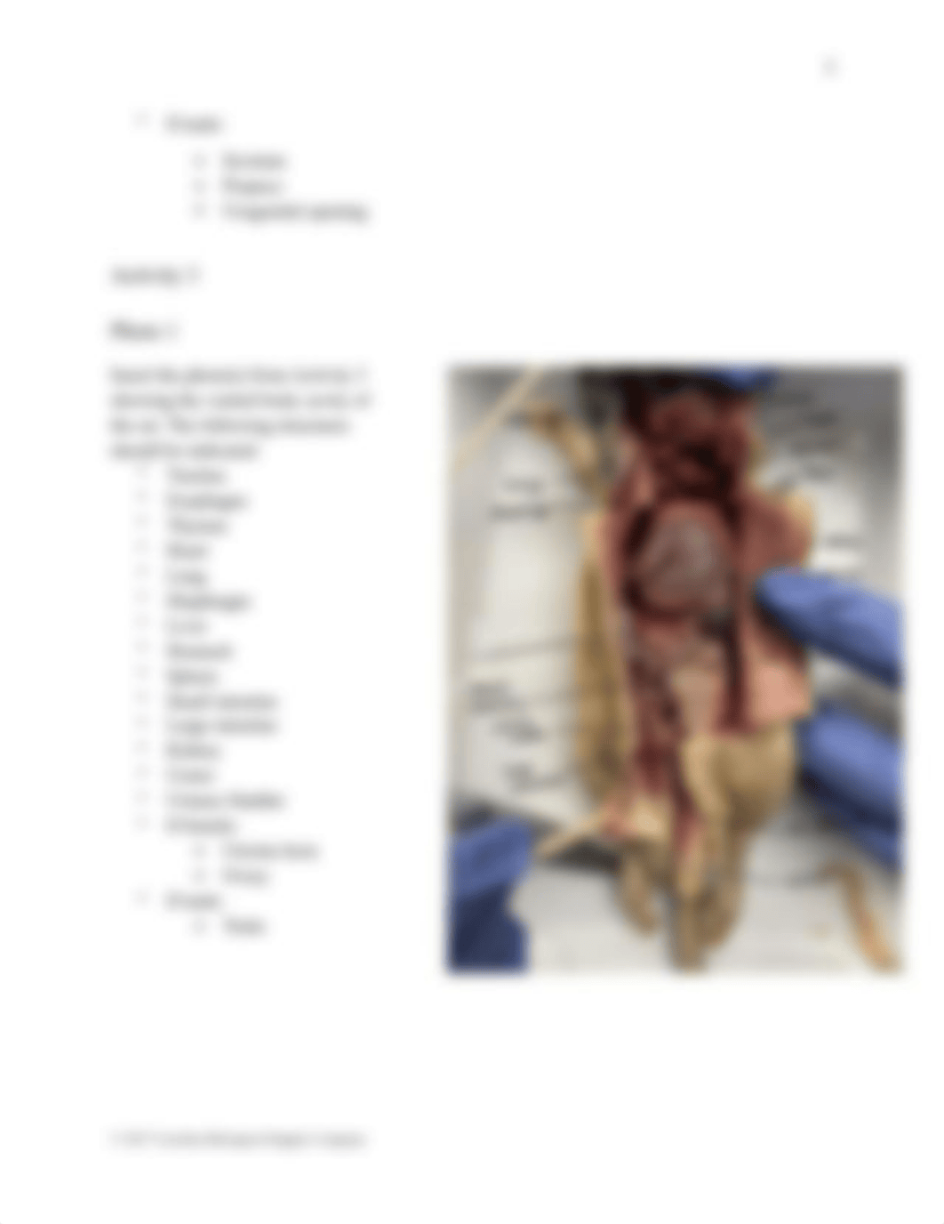 Organ Systems and Terminology lab.pdf_dtjdgrx5taz_page4