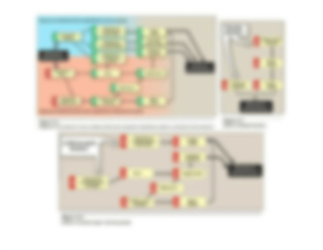 HTN, HF, Arrhythmias, and Angina.docx_dtk25t5iht7_page2