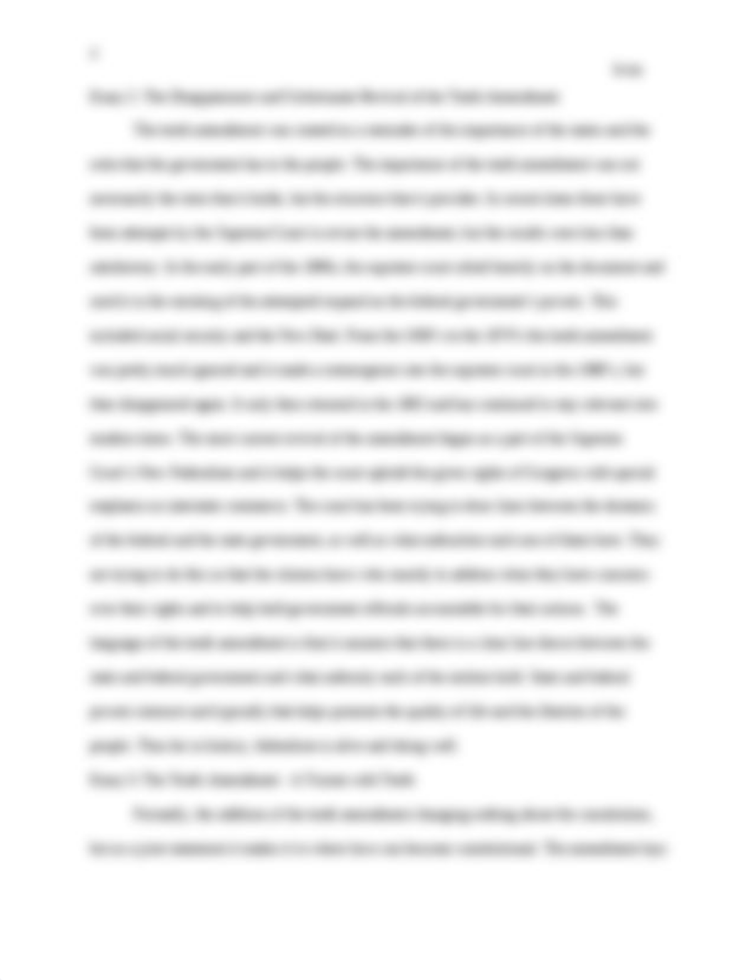 4.1 The Tenth Amendment.docx_dtk36nbvdi7_page2