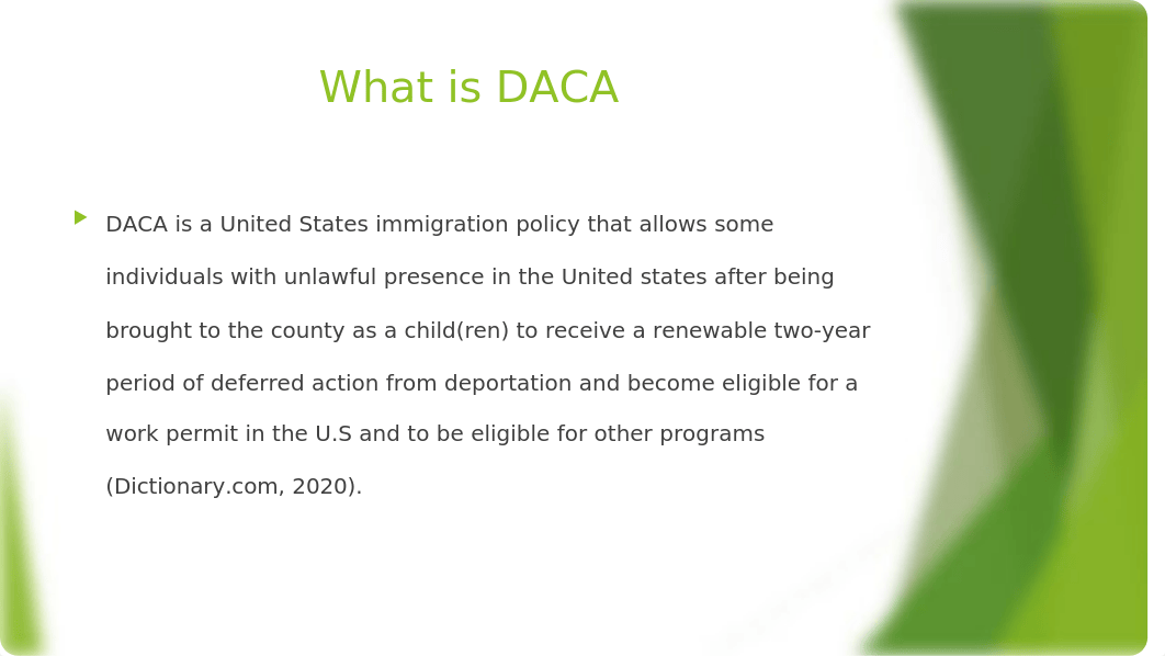 Deferred action for childhood arrivals (DACA).pptx_dtk652uiewb_page2