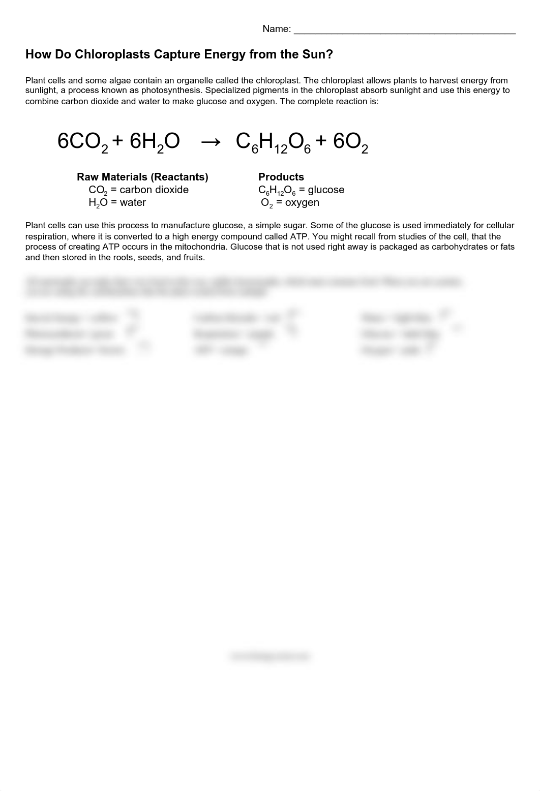 Photosynthesis Coloring _Homework.pdf_dtkahiqgxs5_page1