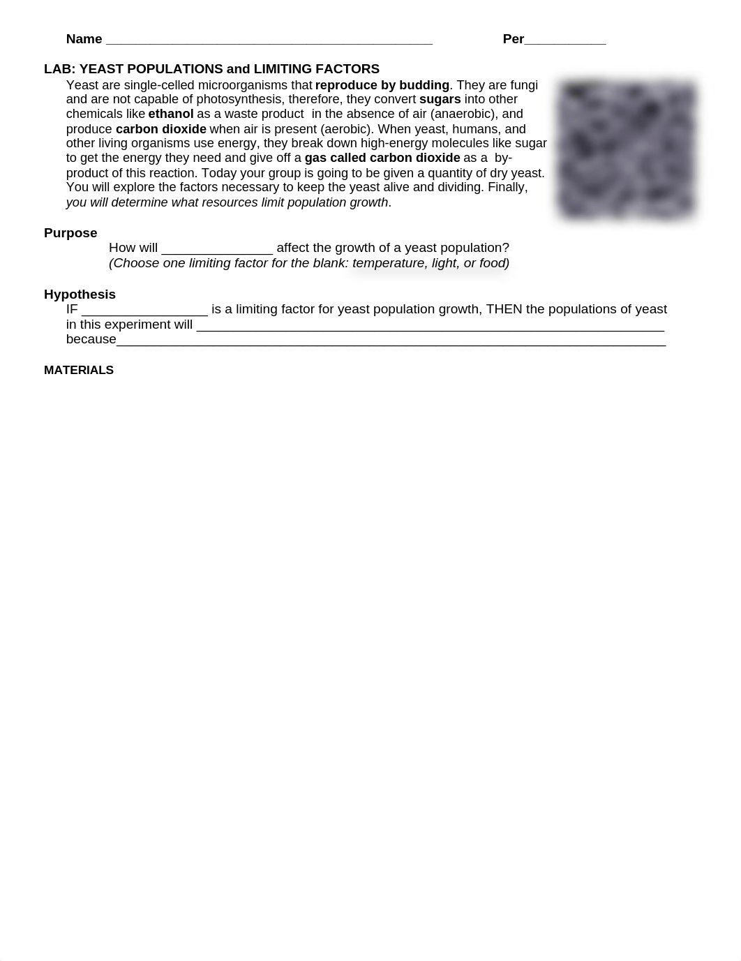 LAB_Yeast Population  and Limiting Factors.doc_dtkb26d8f5c_page1