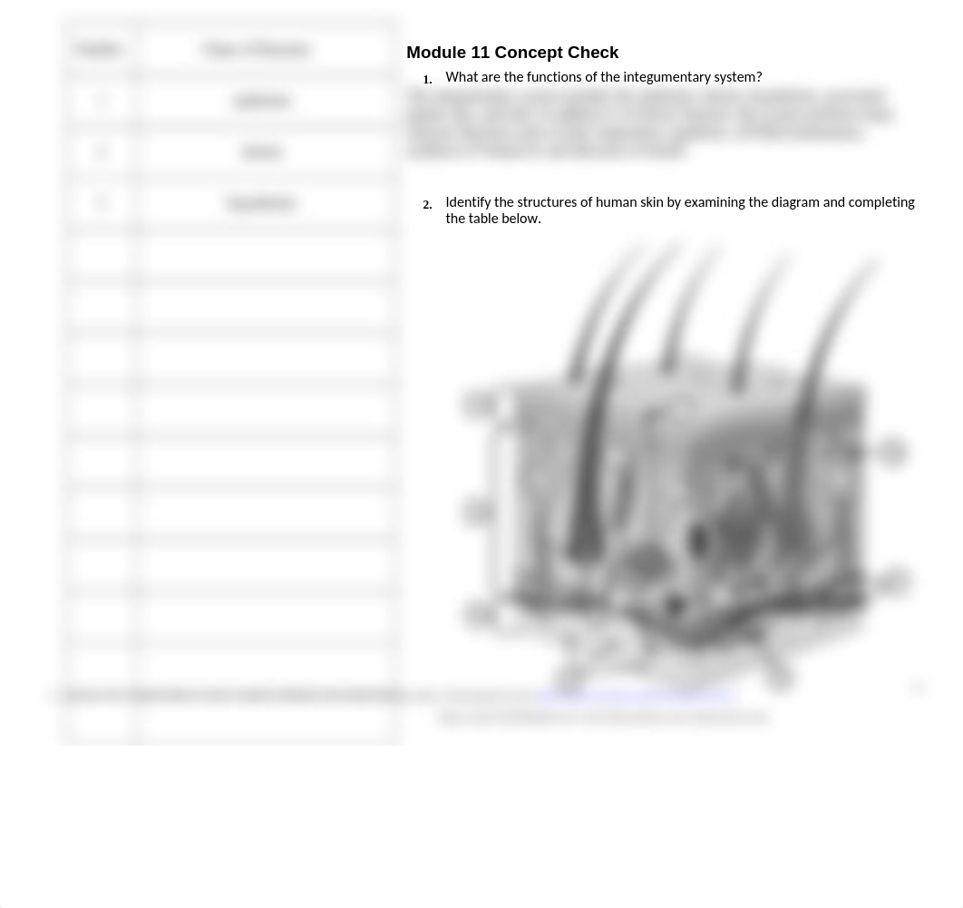 Module 11 Concept Check.docx_dtkdy8r3l32_page1