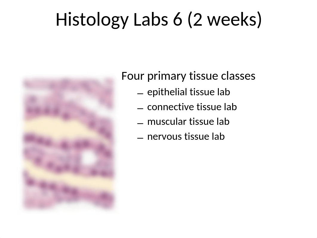 Histology Lab 6.pptx_dtketj0kh72_page1