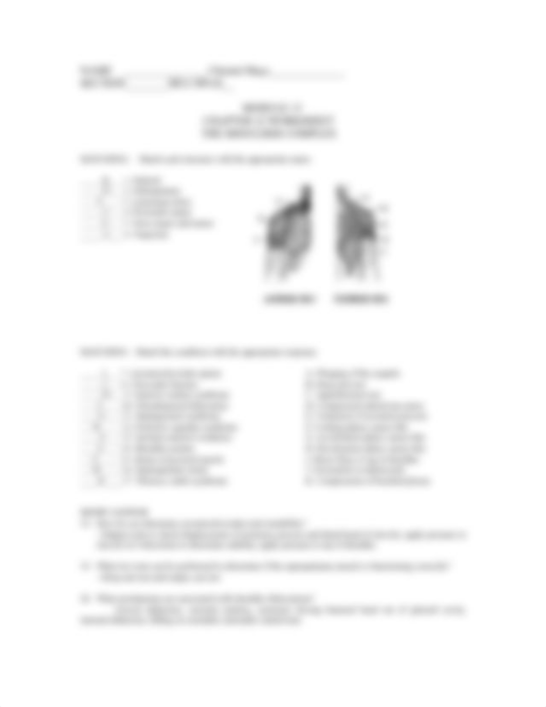 Modules 12 & 13 (2).docx.pdf_dtkj7bjjrum_page3