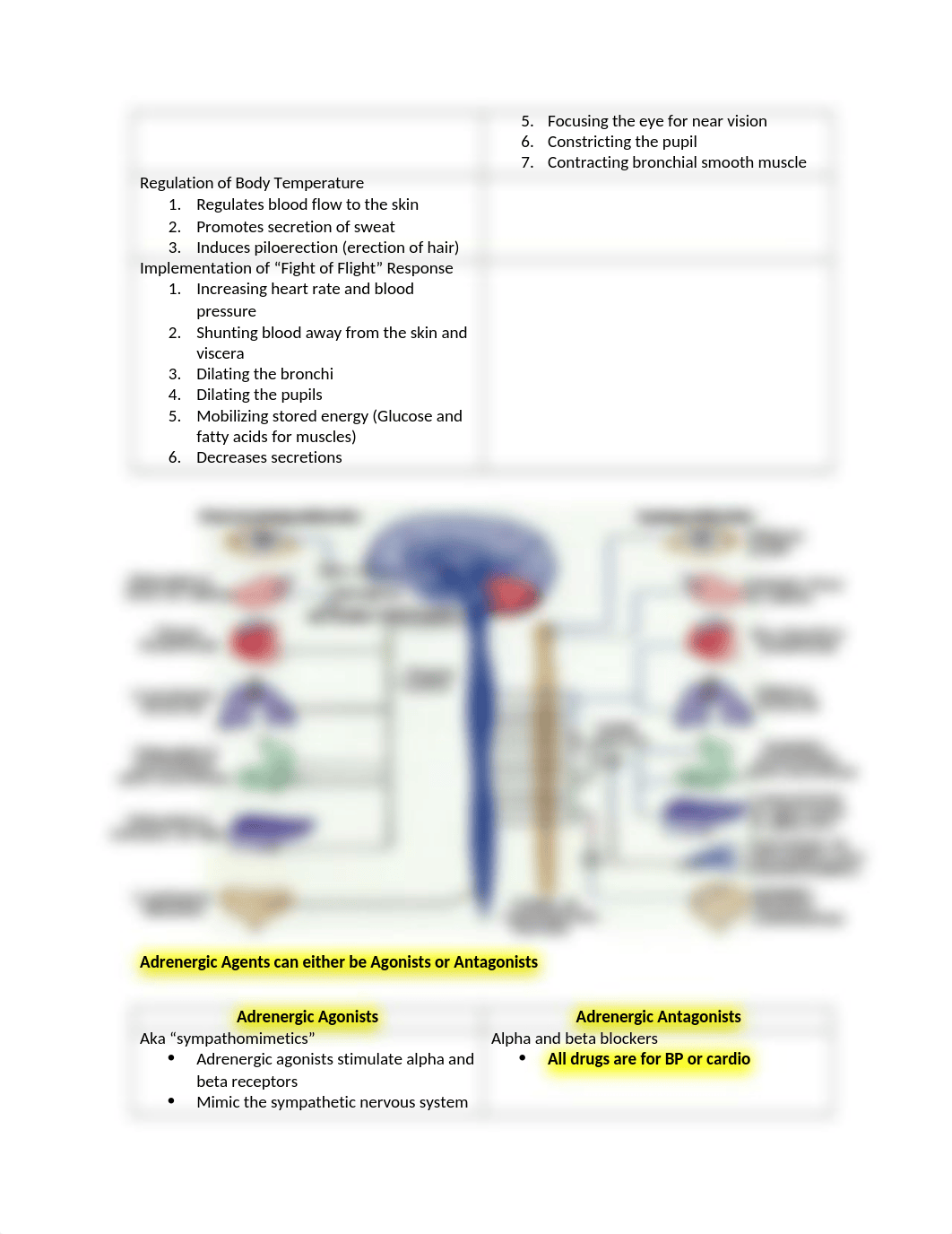 Pharmacology - Quiz 2 Study Guide.docx_dtkx6tzlaui_page2