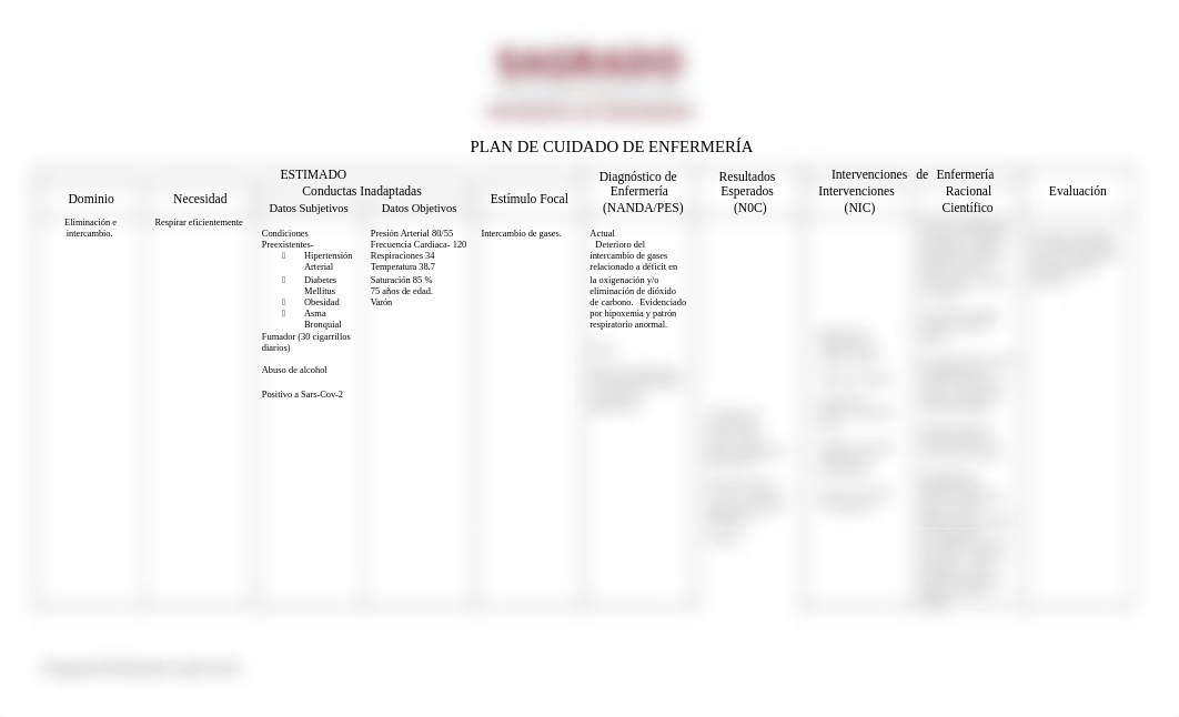 plan de cuidado 1.docx_dtl54idhub3_page2