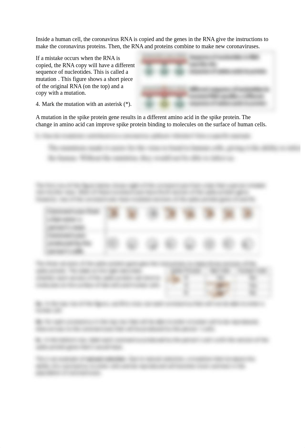 2024 Tyler Rantz - coronavirus evolution.pdf_dtl63pyy1hn_page2