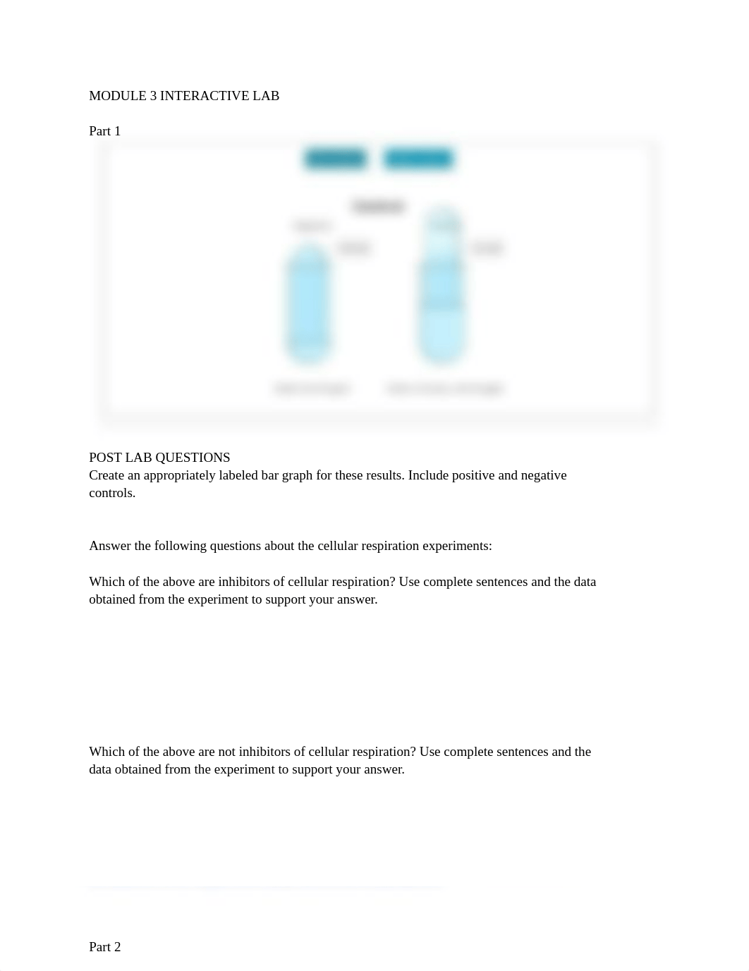 Module 3 interactive lab_dtl8il2pmmx_page1