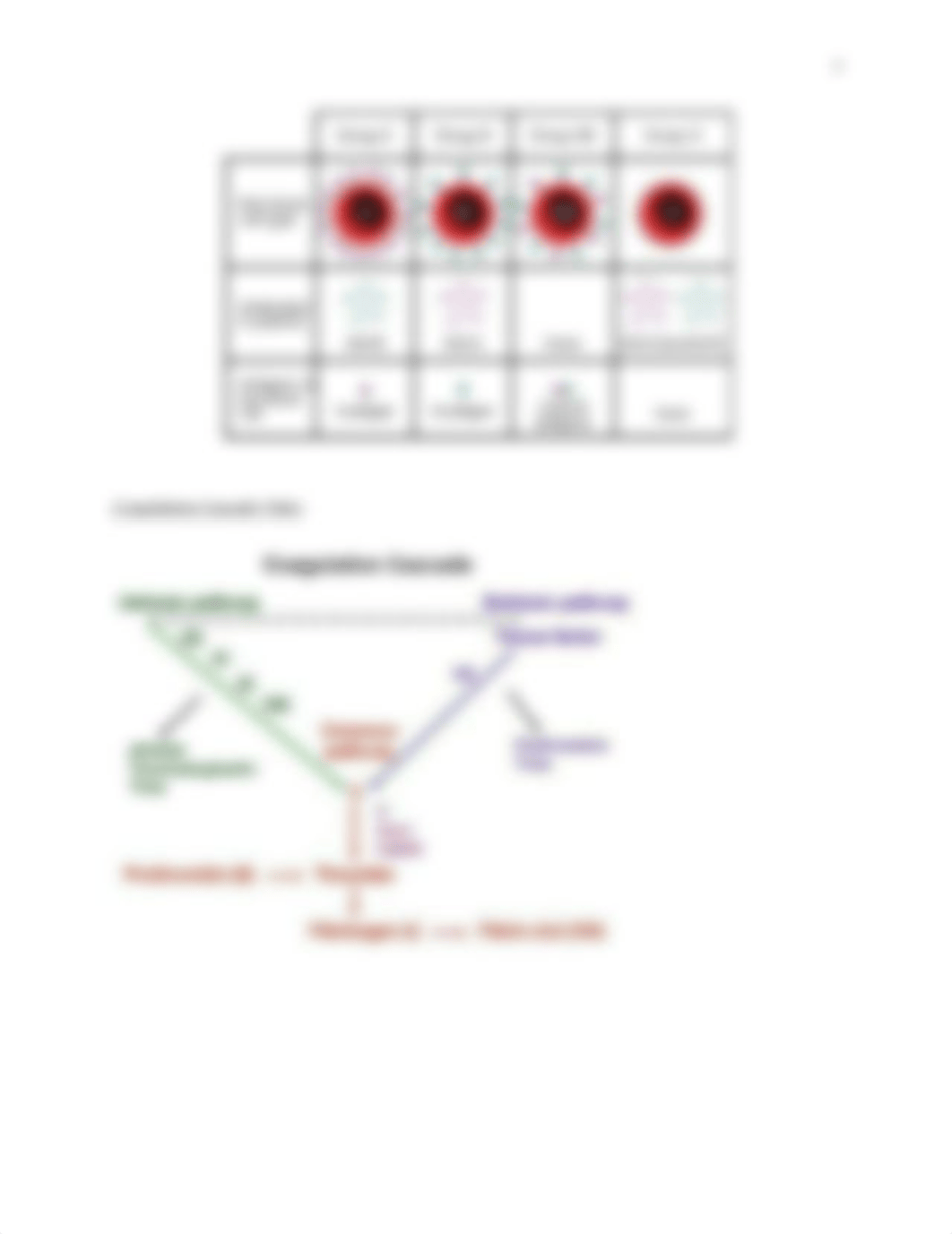 Hematology worksheet.docx_dtlbdtjzdlp_page3