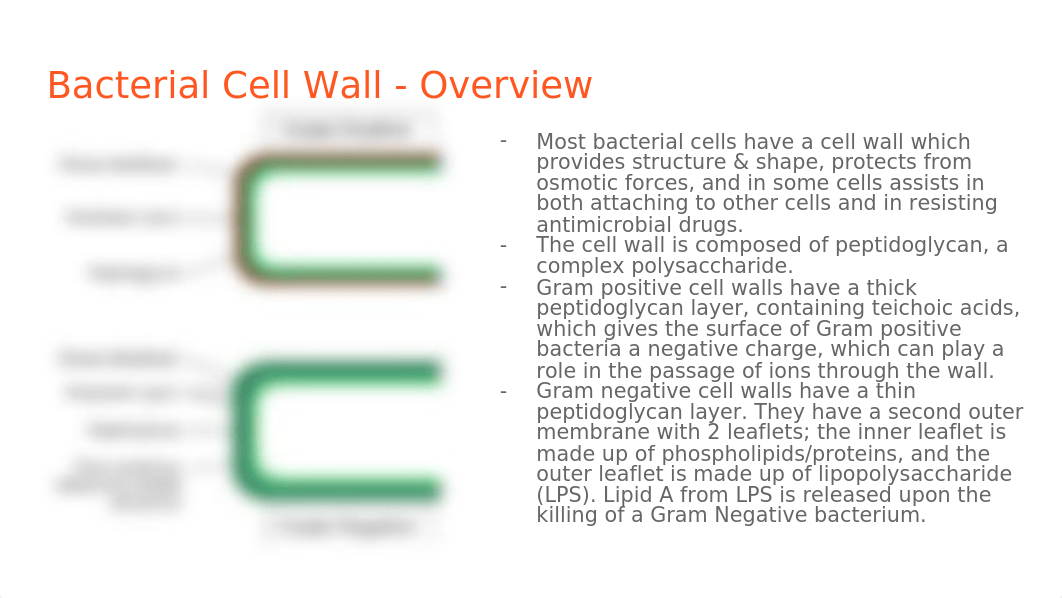 Discussion 1-1.pptx_dtldn3or7i6_page2