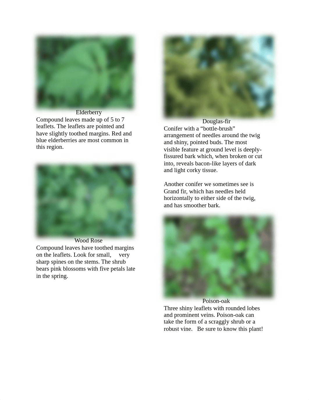 Lab Solution (6)_dtlf800q5zn_page3