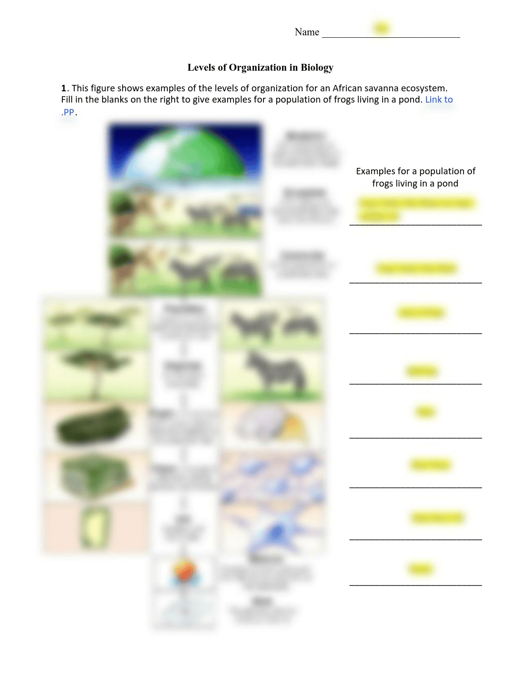 Chapter_2_Levels_of_Organization_KEY (1)_dtlq2e25ooj_page1