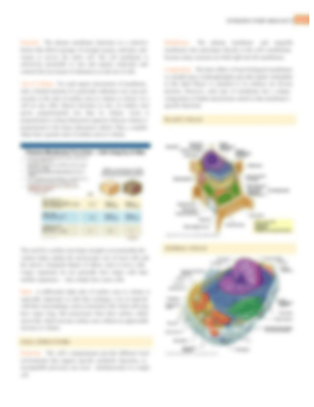 Campbell Biology - Chapter 6 Summary - The Cell.pdf_dtm1q7rt3pb_page3