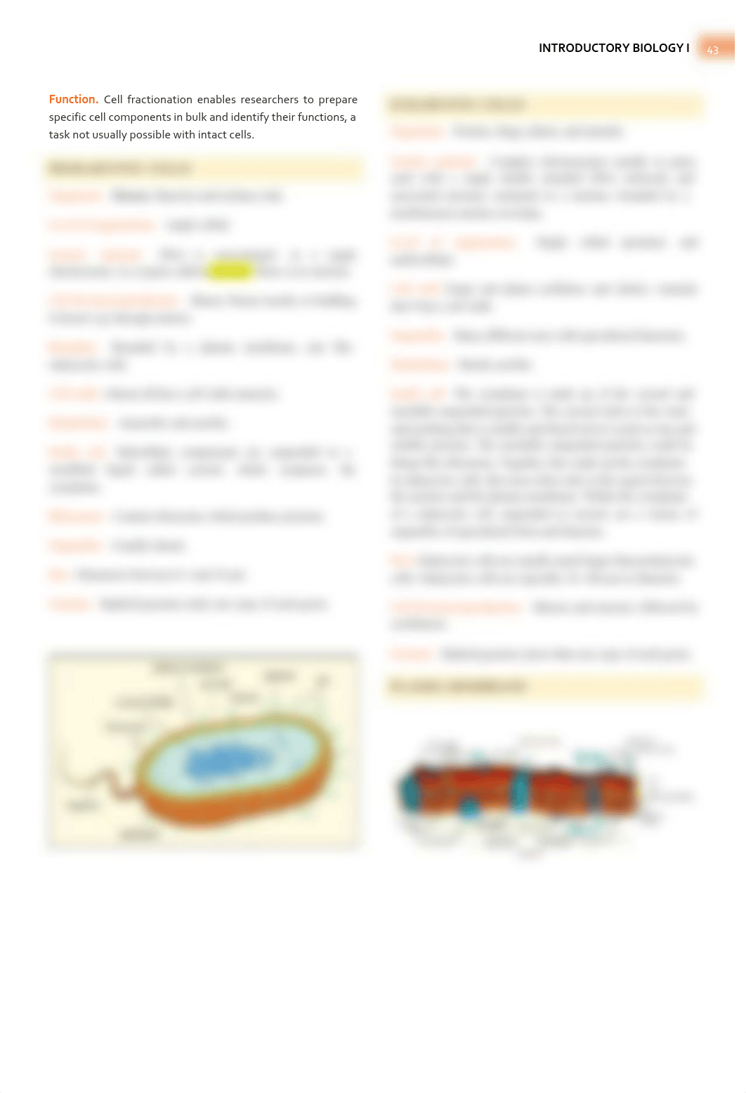 Campbell Biology - Chapter 6 Summary - The Cell.pdf_dtm1q7rt3pb_page2