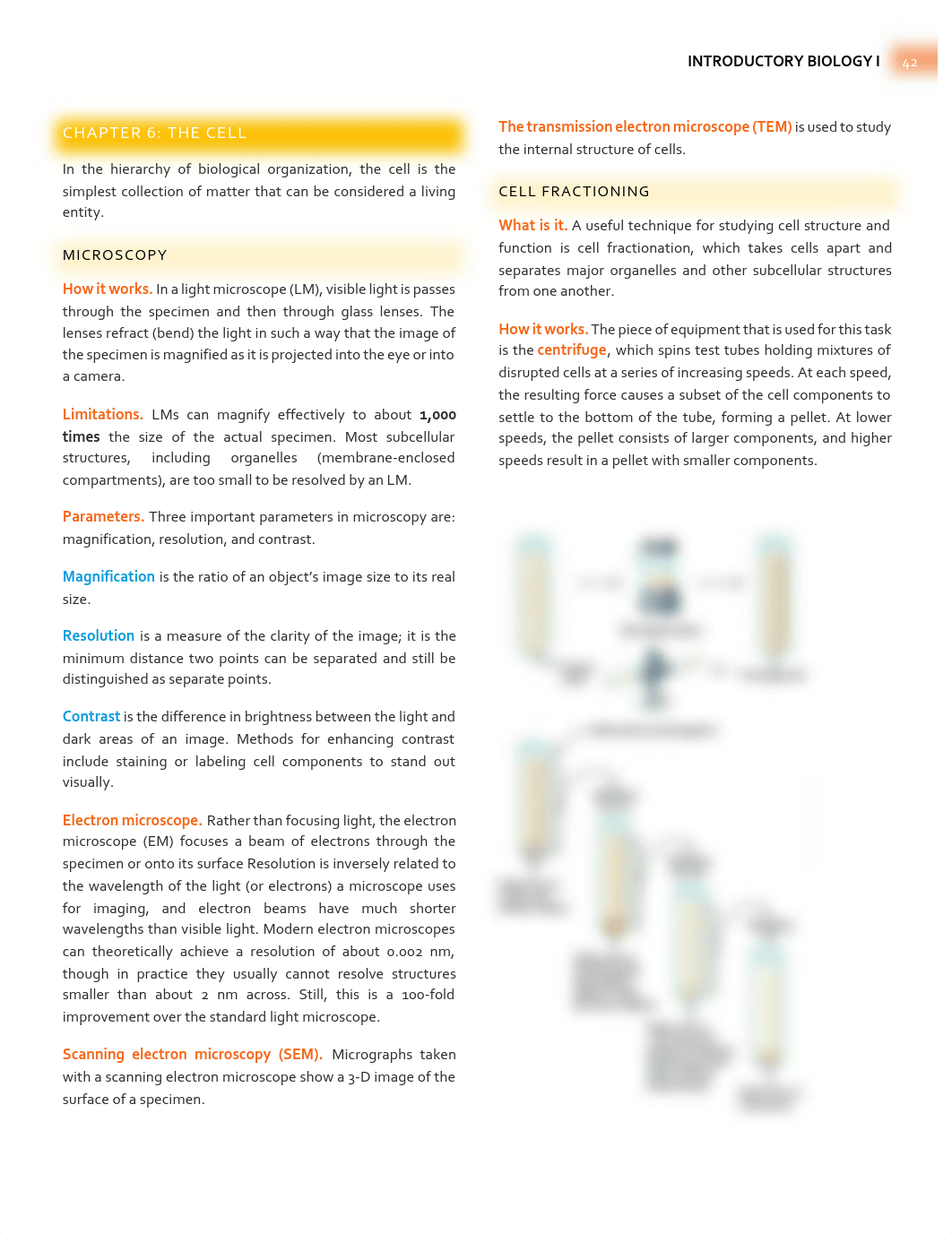 Campbell Biology - Chapter 6 Summary - The Cell.pdf_dtm1q7rt3pb_page1