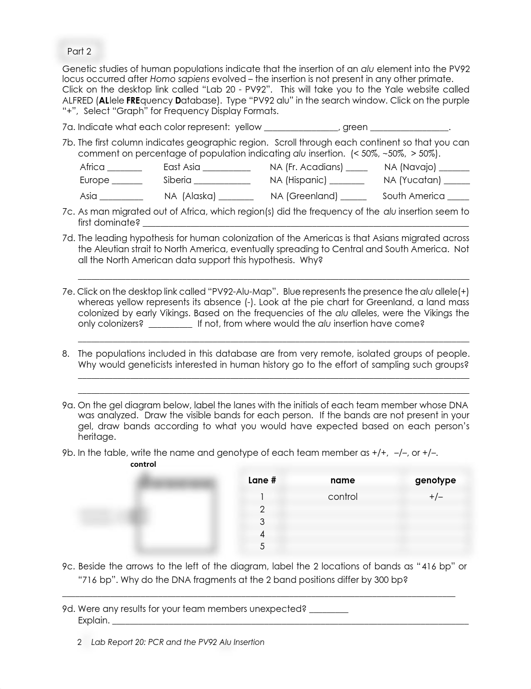 20b Lab Report 20 PCR and the PV92 Alu Insertion.pdf_dtmib8079z2_page2