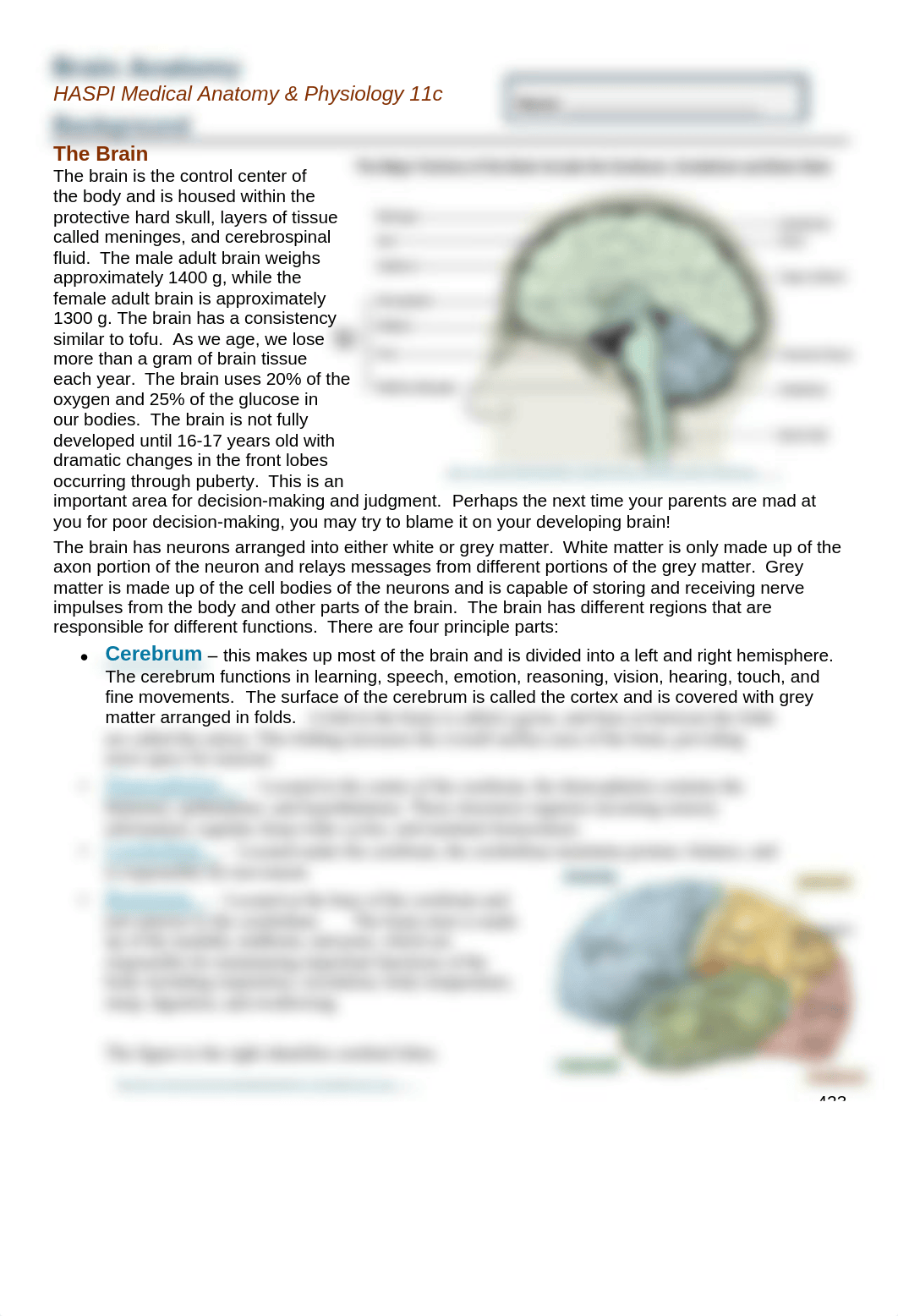 Brain Dissection Lab.pdf_dtmn4zbnzz5_page1