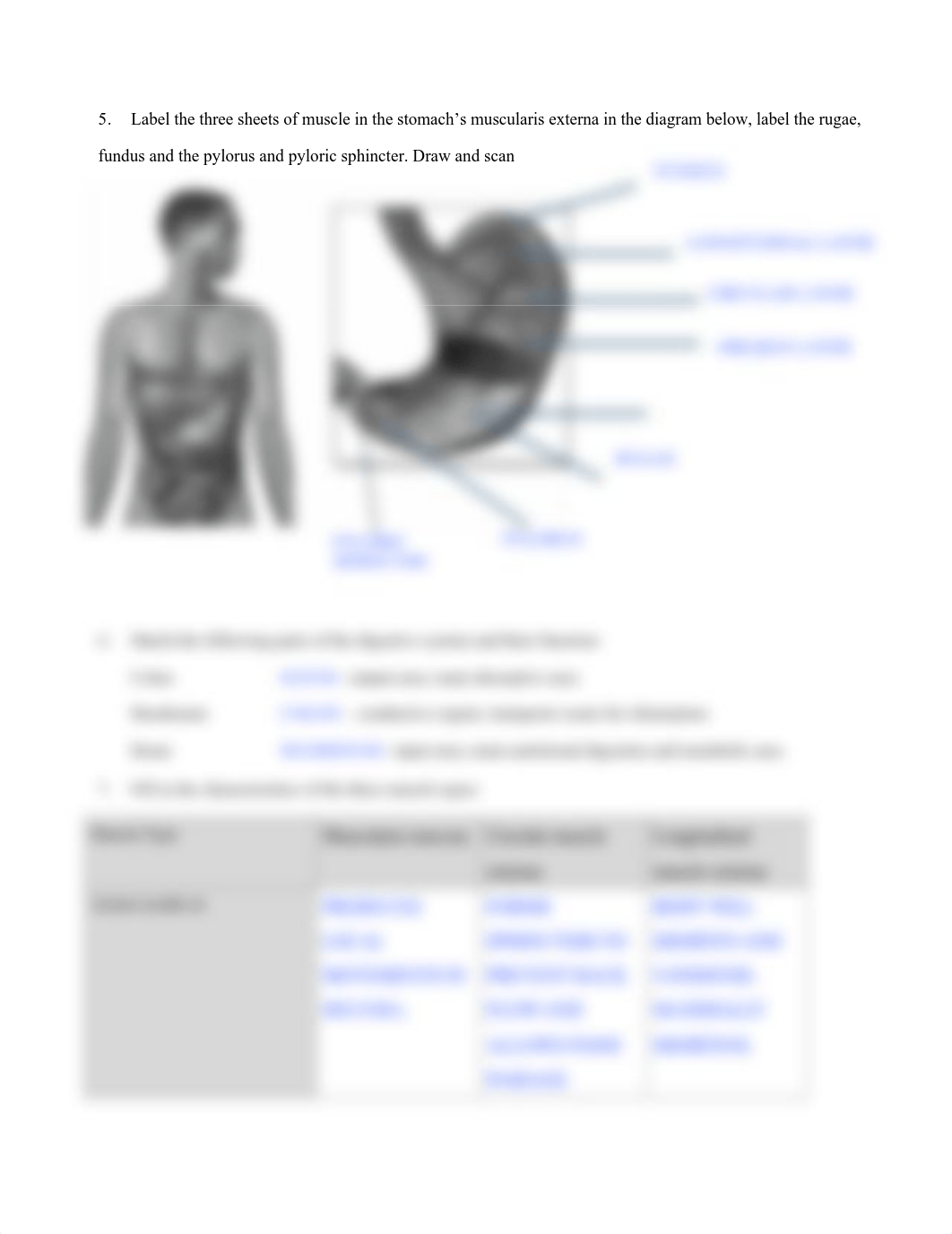 Digestive IP- 1.pdf_dtmo1hcw3ze_page2