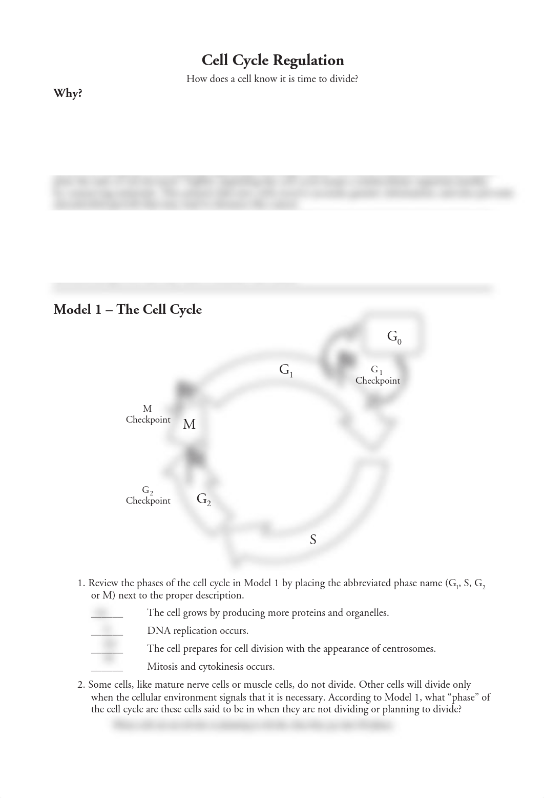 Kami Export - 18 Cell Cycle Regulation-S.pdf_dtmscpfhx2x_page1