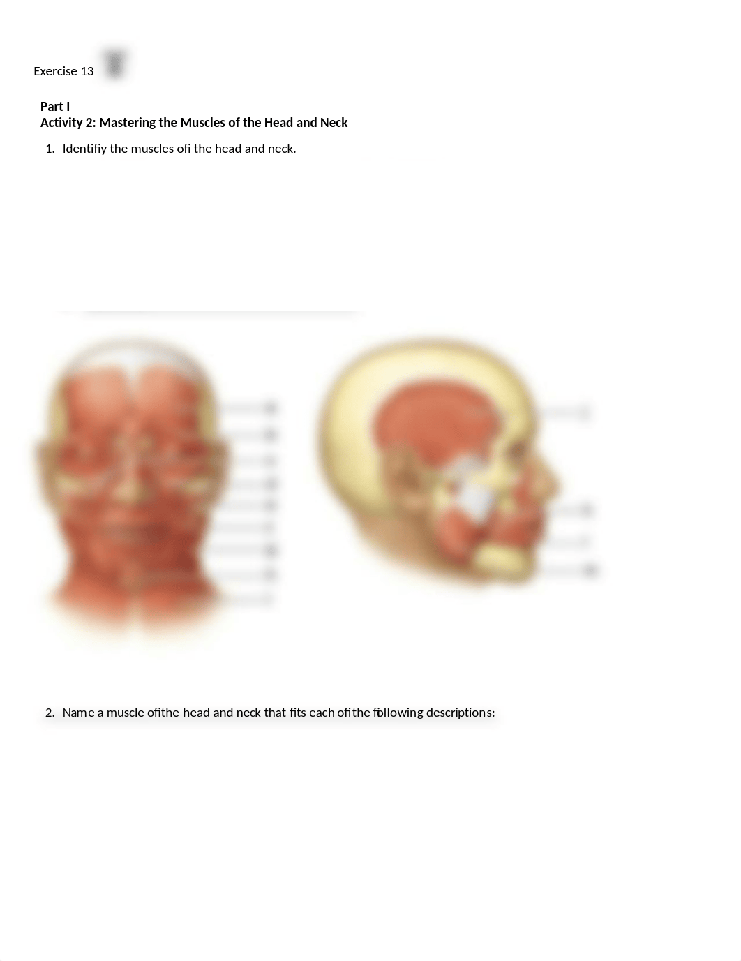 6. Unit 6 laboratory exercise 13 (1) finished..docx_dtmw33gjsrh_page1