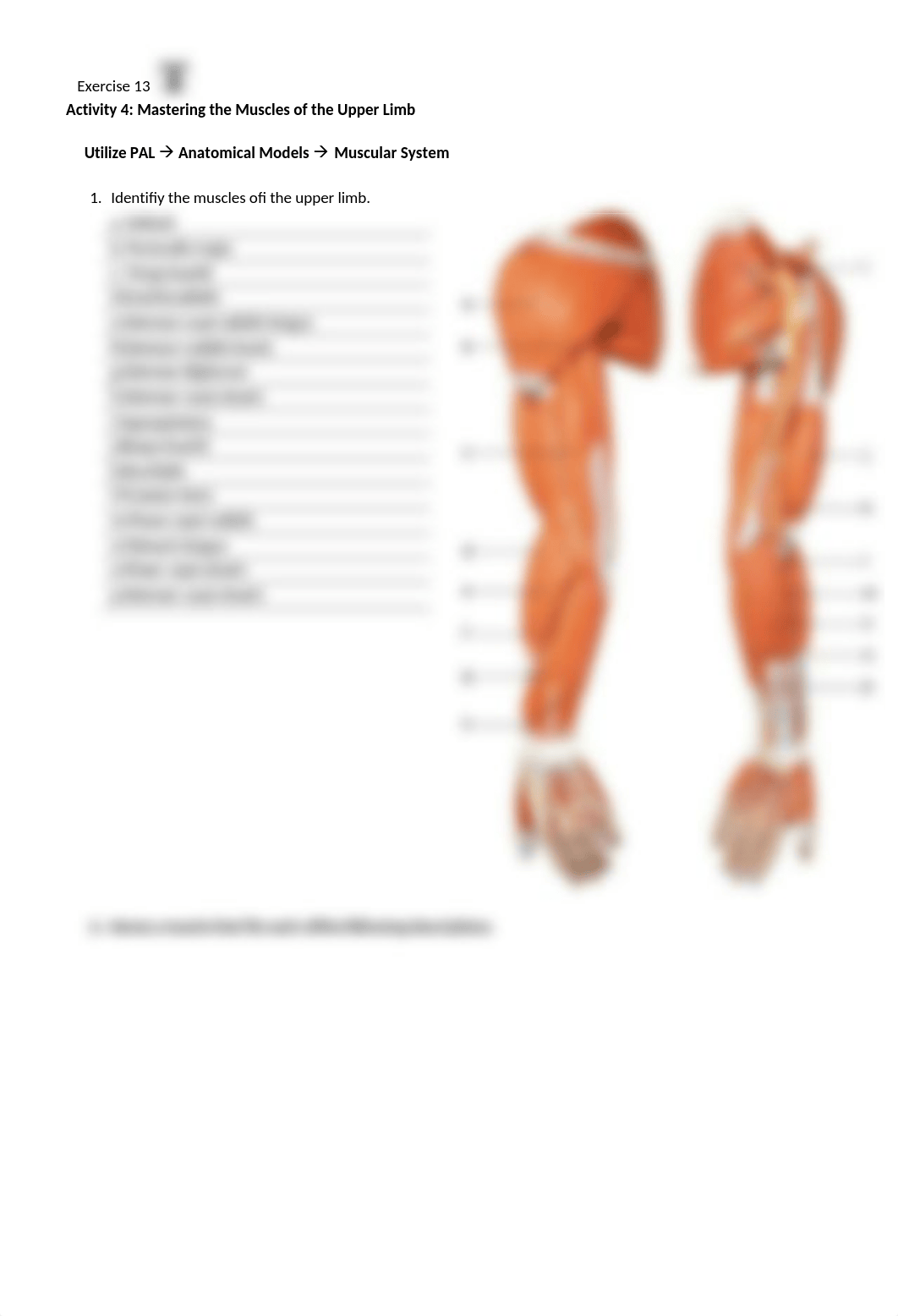 6. Unit 6 laboratory exercise 13 (1) finished..docx_dtmw33gjsrh_page3