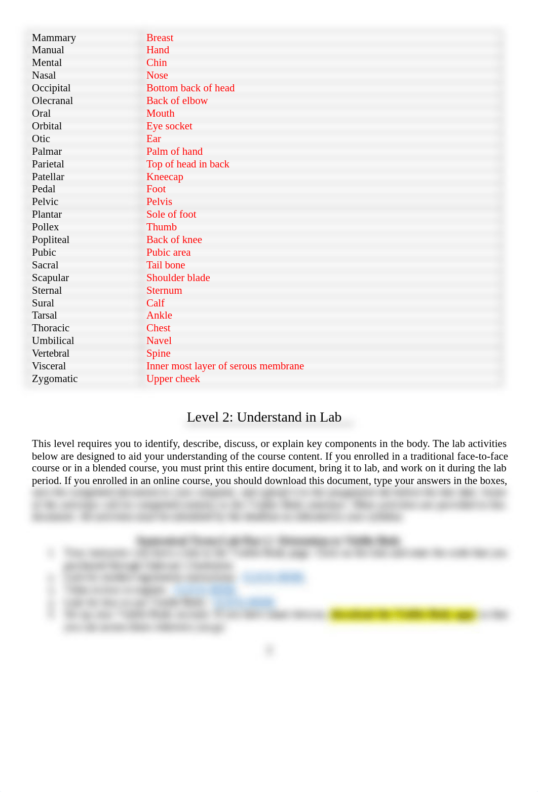 Anatomical Terms .docx_dtmw6mcvio3_page2