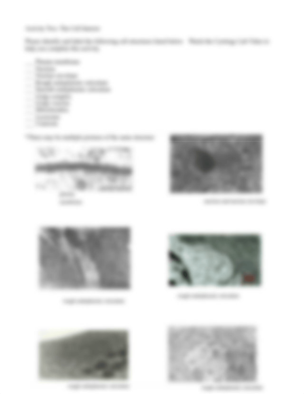 Kami Export - cytology1_lab.pdf_dtn3oalylgi_page2