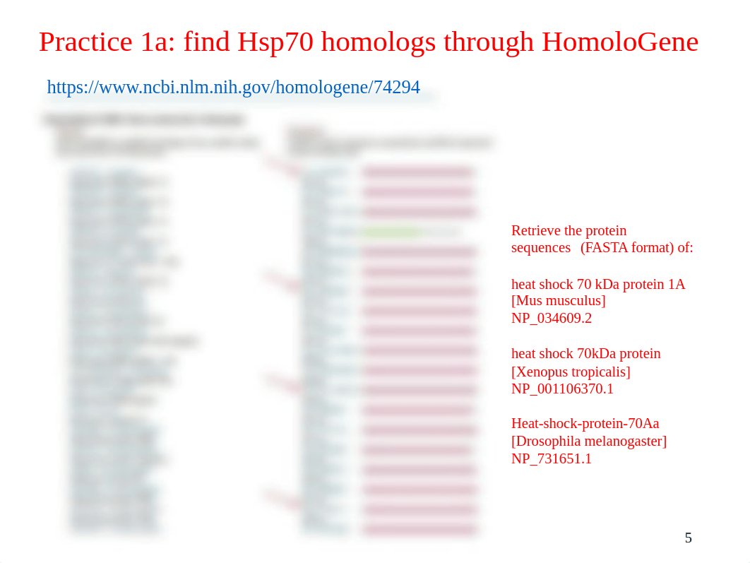 2020 Bioinformatics 2_Genetics lab (2) (1).pdf_dtn69rnjdzb_page5