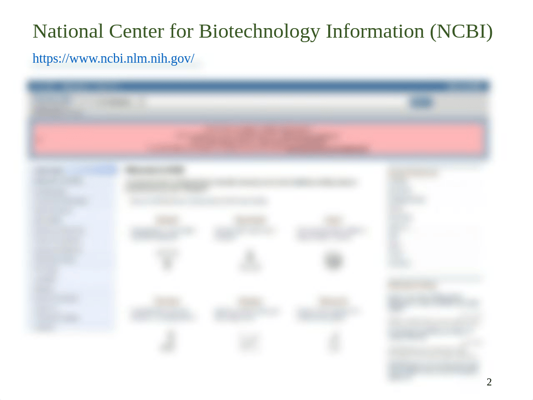 2020 Bioinformatics 2_Genetics lab (2) (1).pdf_dtn69rnjdzb_page2