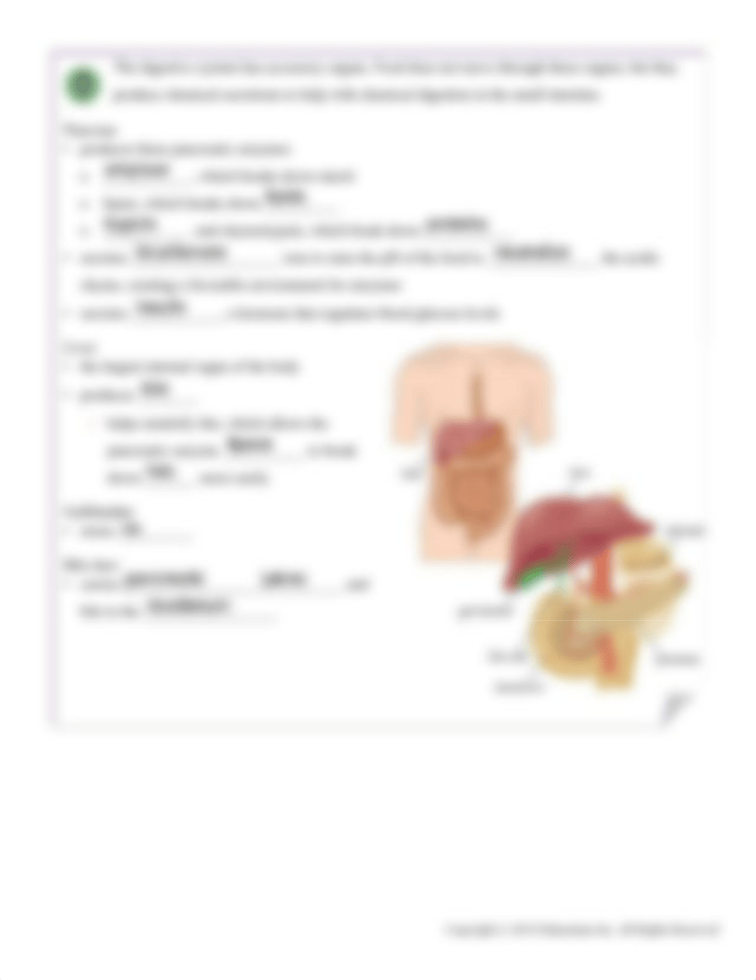 The Digestive and Excretory Systems.pdf_dtn7fp4kxm3_page4