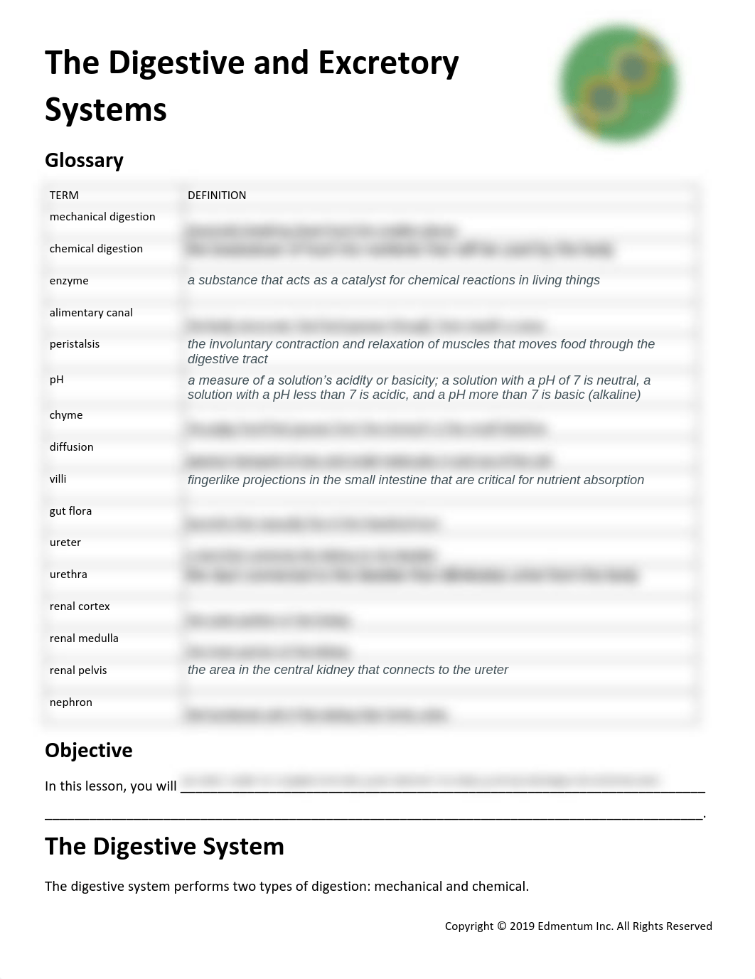 The Digestive and Excretory Systems.pdf_dtn7fp4kxm3_page1