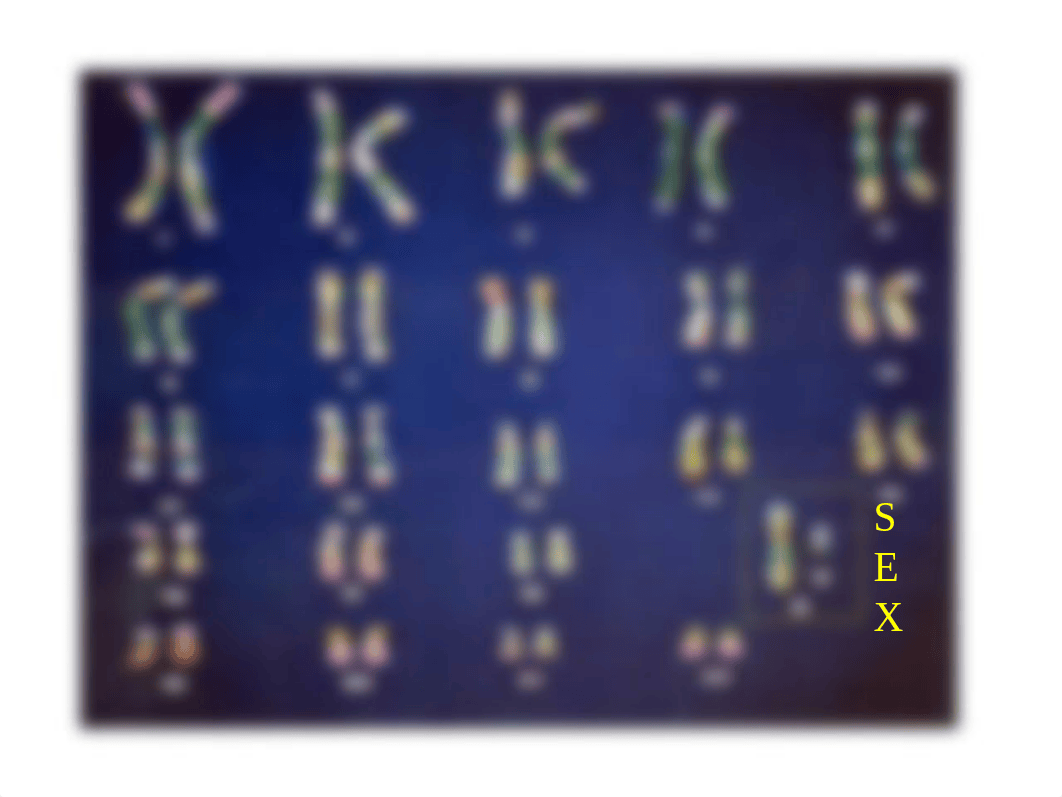 Genetics_dtnbyne5ylz_page5