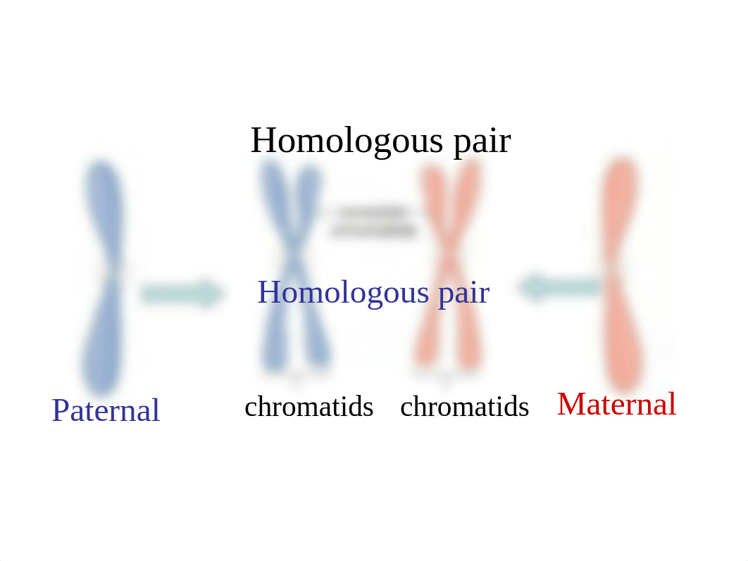 Genetics_dtnbyne5ylz_page3