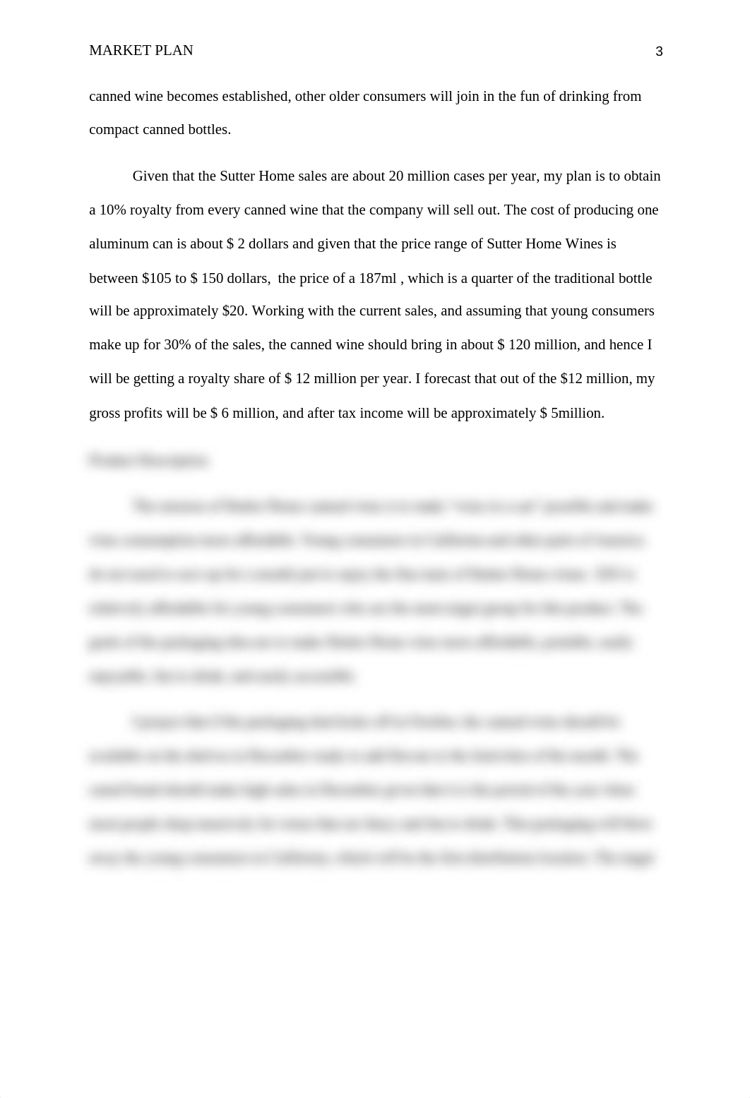 market_plan outline paper_dtnc9s5uqvf_page3