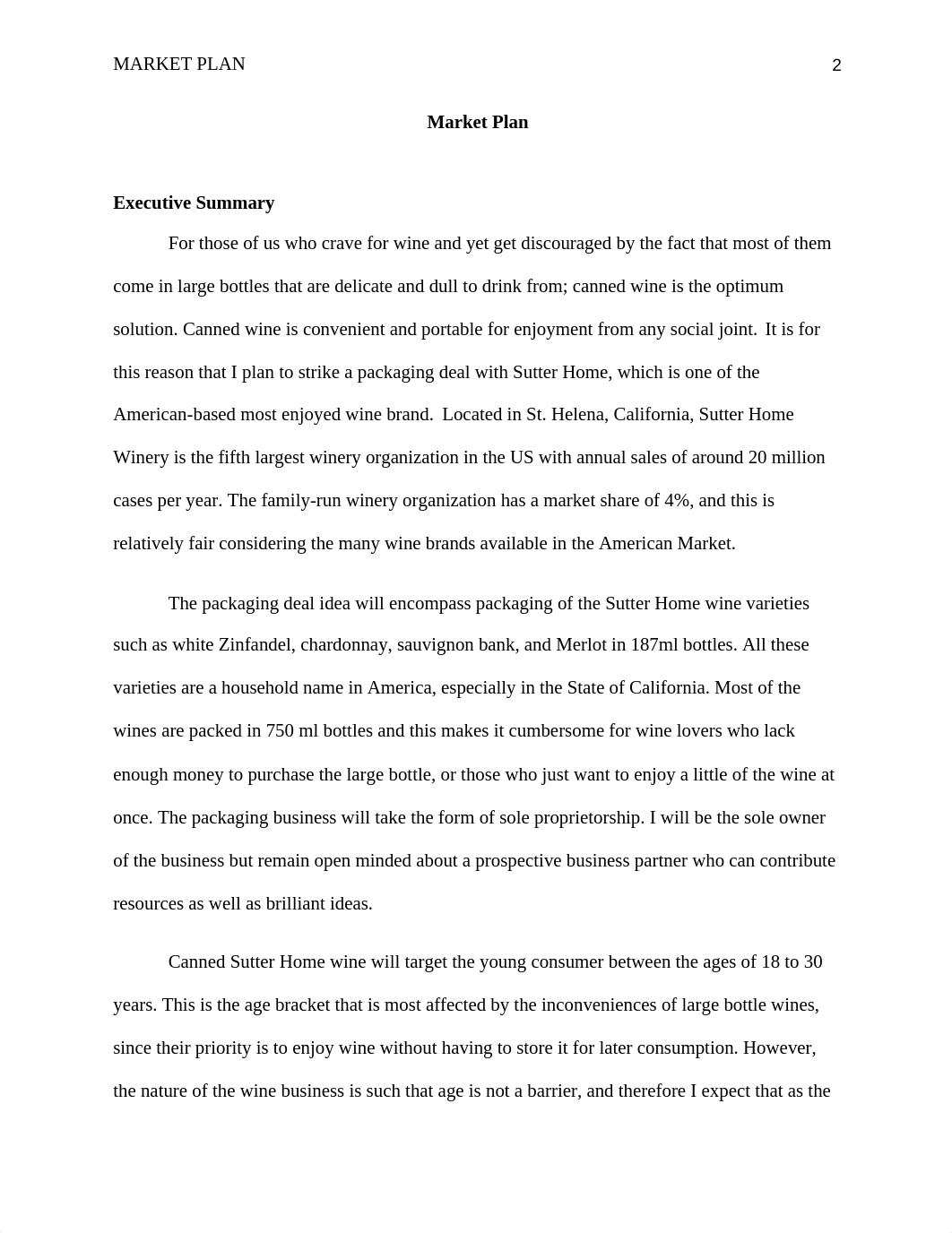 market_plan outline paper_dtnc9s5uqvf_page2