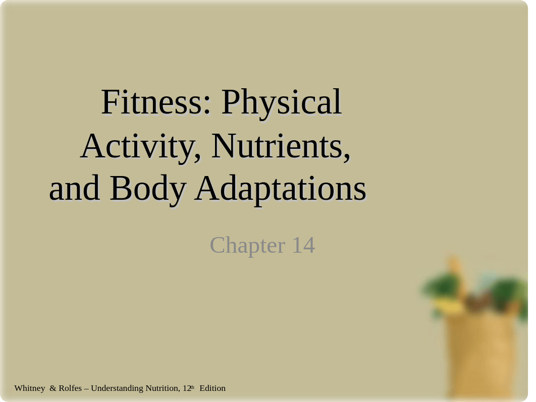 chapter 14 - fitness.ppt_dtnq021b904_page1