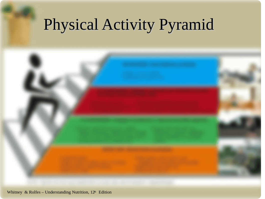 chapter 14 - fitness.ppt_dtnq021b904_page5